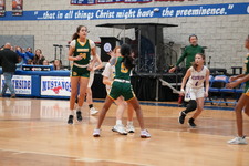 Enlarge photo 114