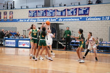 Enlarge photo 117
