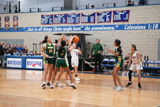 Enlarge photo 118