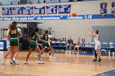 Enlarge photo 126