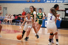 Enlarge photo 146