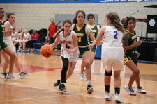 Enlarge photo 148