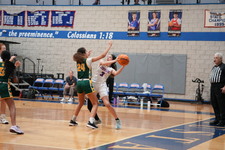 Enlarge photo 168