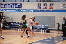 Enlarge photo 169