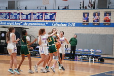 Enlarge photo 175