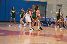 Enlarge photo 183