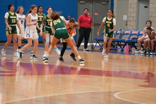 Enlarge photo 188