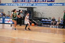 Enlarge photo 206