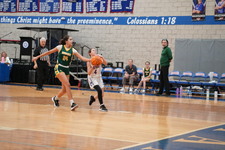 Enlarge photo 210