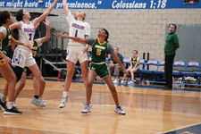 Enlarge photo 232