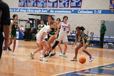 Enlarge photo 256