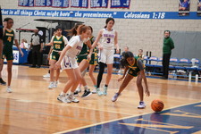 Enlarge photo 259