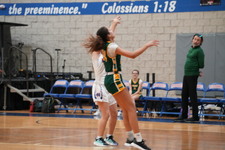 Enlarge photo 261