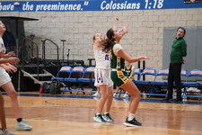 Enlarge photo 262