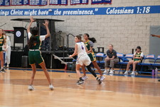 Enlarge photo 330