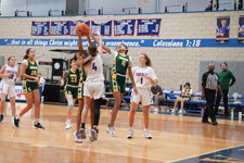 Enlarge photo 403