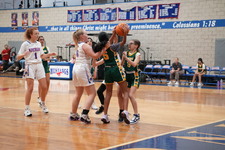 Enlarge photo 433