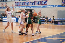 Enlarge photo 435
