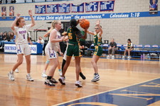 Enlarge photo 436