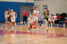Enlarge photo 455