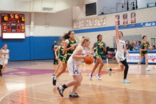 Enlarge photo 481