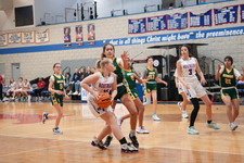Enlarge photo 488