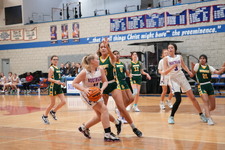 Enlarge photo 490