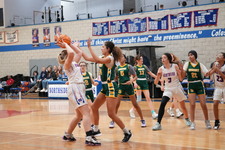 Enlarge photo 494