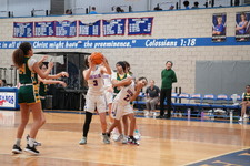 Enlarge photo 501
