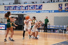 Enlarge photo 502