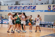 Enlarge photo 516