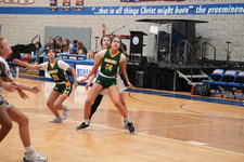 Enlarge photo 540