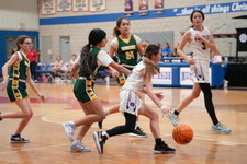 Enlarge photo 584