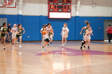 Enlarge photo 629