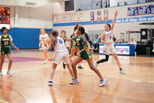 Enlarge photo 727