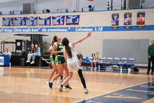 Enlarge photo 738