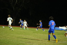 Enlarge photo 49