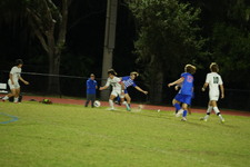 Enlarge photo 67