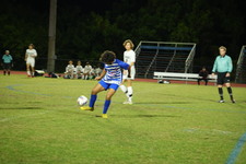 Enlarge photo 96
