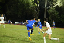 Enlarge photo 113