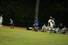 Enlarge photo 129