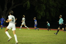 Enlarge photo 141
