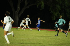 Enlarge photo 143