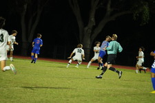 Enlarge photo 151