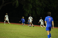 Enlarge photo 153