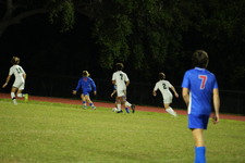 Enlarge photo 154