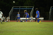 Enlarge photo 197