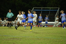 Enlarge photo 202