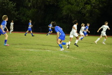 Enlarge photo 241