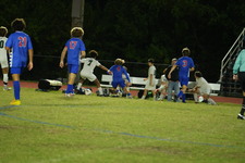 Enlarge photo 424